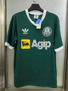 Palmeiras-Agip-Verde.jpg