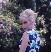 Stella-Stevens-c22