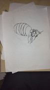 IMG-20240229-183753611