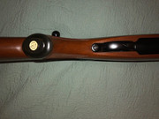 IMG-0533