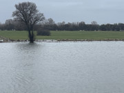 [Afbeelding: plas-1.jpg]