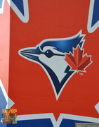 Cánada Este Julio/Agosto 22 dias. - Blogs de Canada - - Llegada a Toronto y desplazamiento por la ciudad. (9)