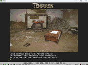 tendurenn3.jpg