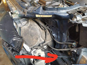 received-945406473085665.jpg