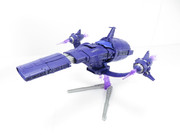 271490969-5551430351538145-5848486963315509478-n