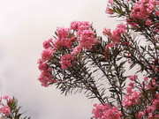 39.3.fantasy urban III