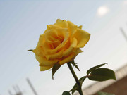 8.4.photogenic december baby IV