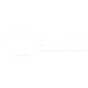 Vulcan Drone Sprayer Logo