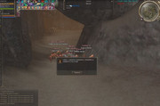 dv19.jpg