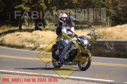 IMG-0881