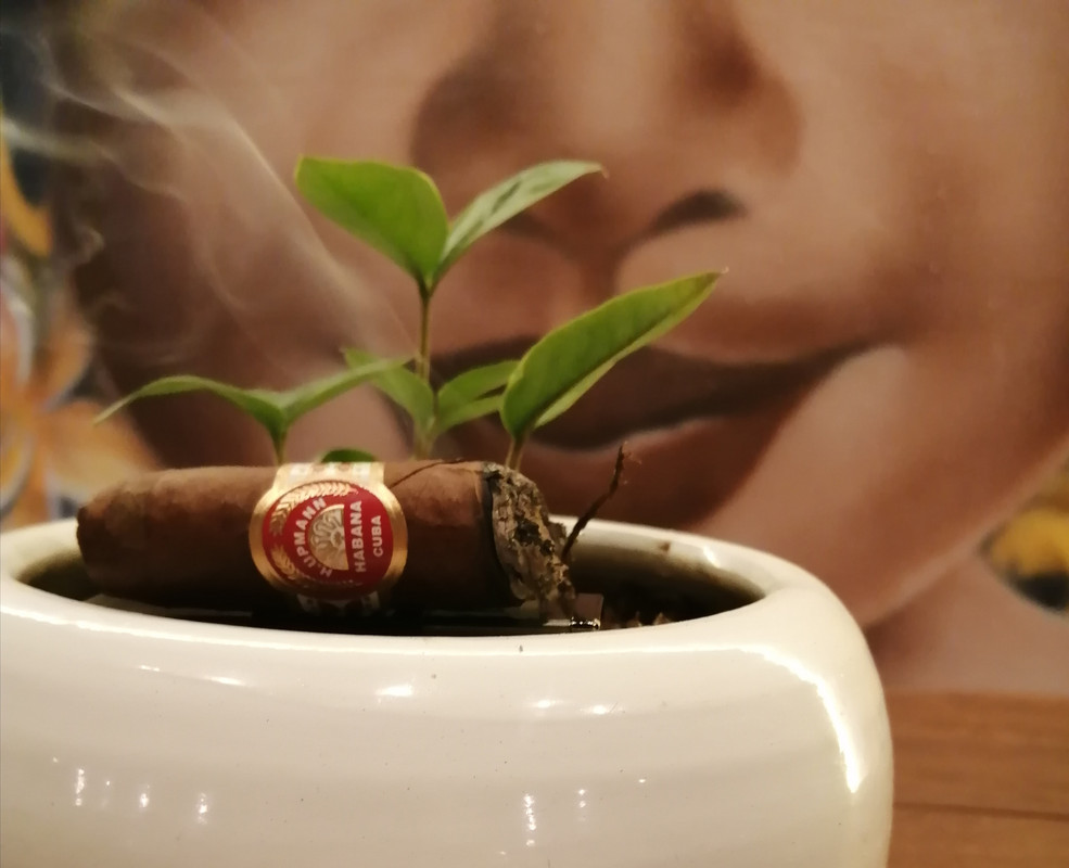 IMG_20230331_005034[1]