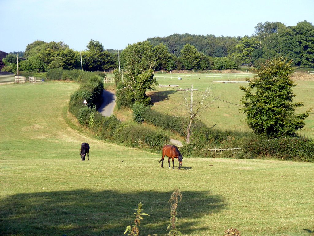 DSCF0560.jpg