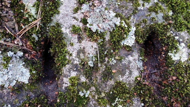 20140222_151819 (640x360)