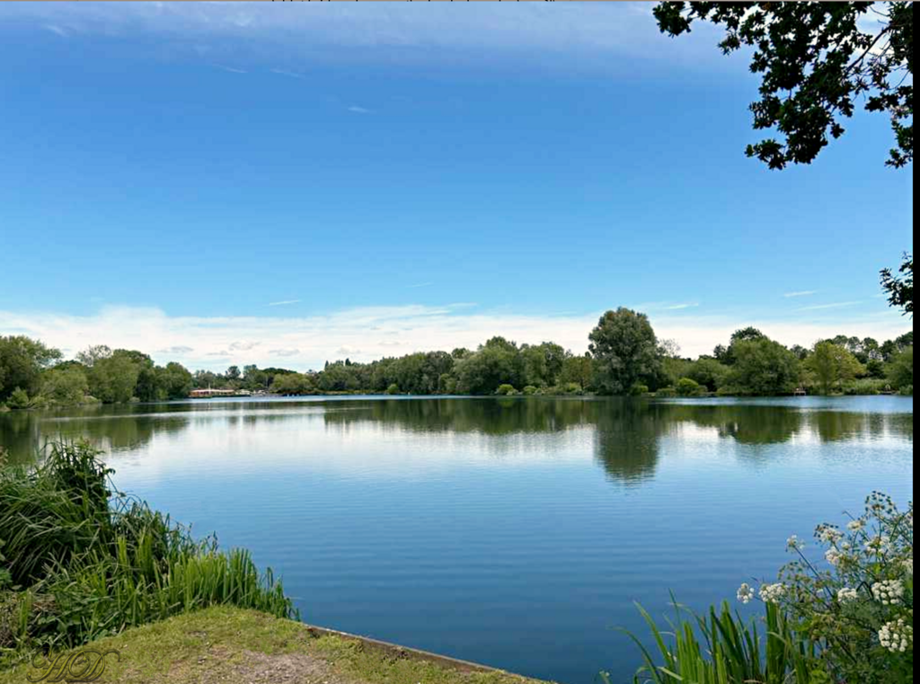 the-lake-ST-HD.png