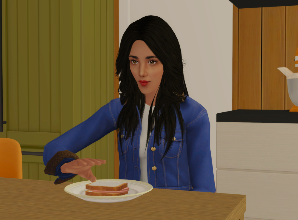 Sims2-EP9-RPC-2022-05-12-20-34-27-49