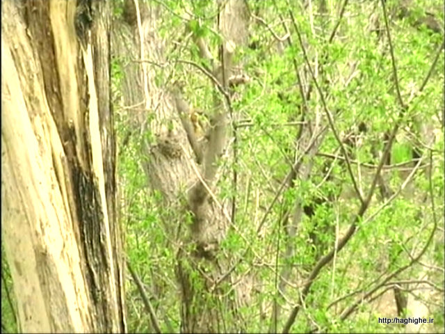 P-Apr04-114658