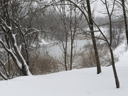 IMG-6497