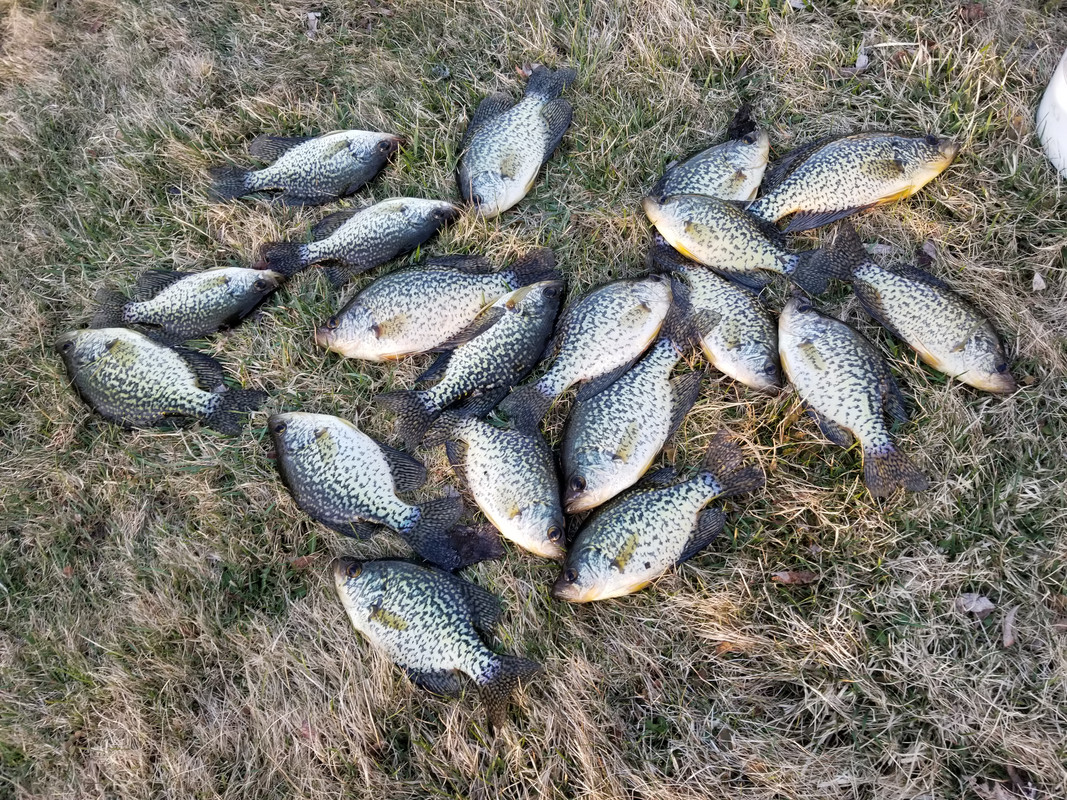 20180426_193121