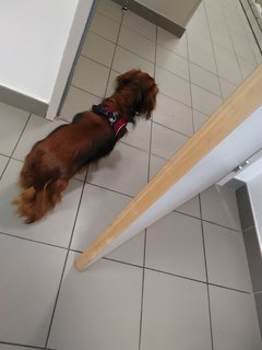 [Image: IMG-20210506-190724.jpg]