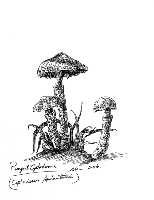 New Doc 2017-03-29 (8)_7