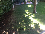 F61AF582-5B4B-4FB5-8C2E-CD184BC48C60