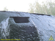 IMG-4529