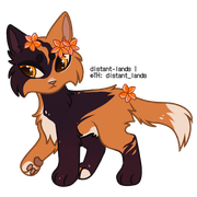 classic "red" tortoiseshell w white