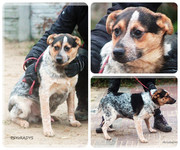 Be-Funky-collage-17.jpg&key=57c485c24dca