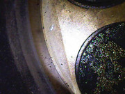 Photo_2025-02-2609_26_04_373