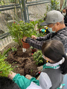 photo-20211123-iherbalgarden-008