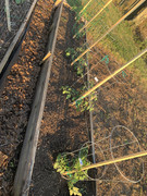 215A5069-0A10-480A-8AD3-23BF47361BB1