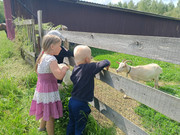 IMG-20250611-WA0024