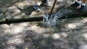 DSC00131