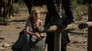 Westworld-S02-E01-Viaggio-nella-notte-UH