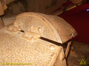 DSCN6545