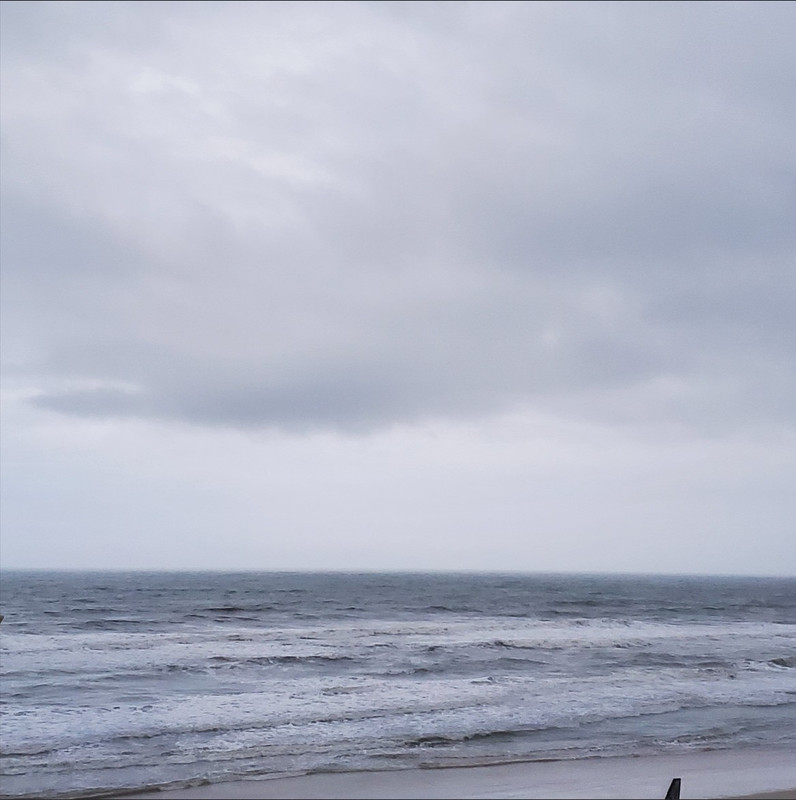 20260324Fl Ocean19474