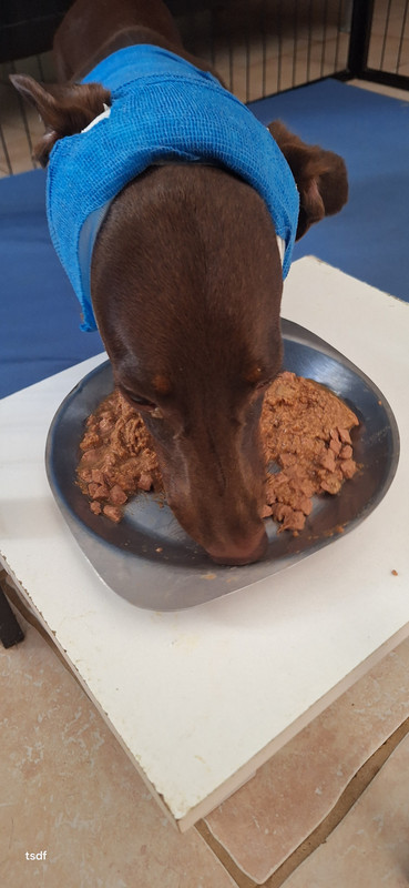 [Image: 20250809-111603.jpg]