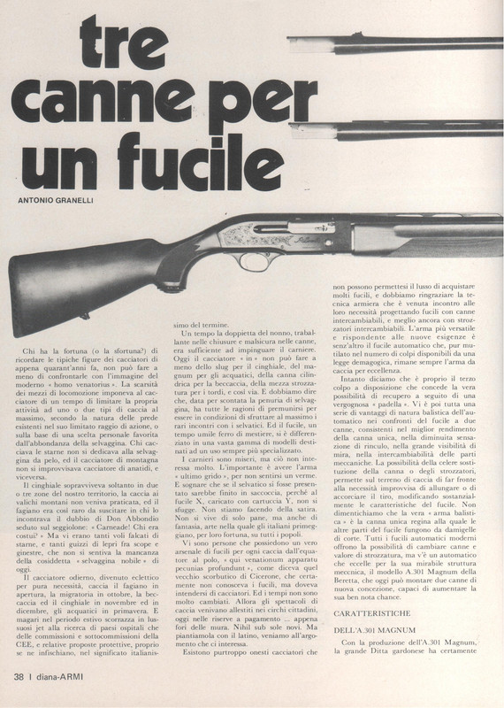 Tre canne per un fucile (N°2 Febbraio 1979 Diana Armi) (1)