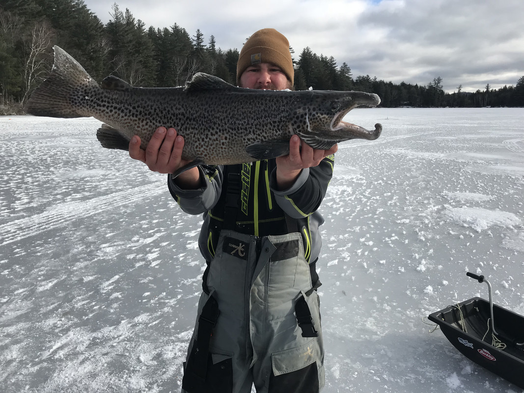 0135074F-6DDD-4C21-BC9A-41C86CBC2087