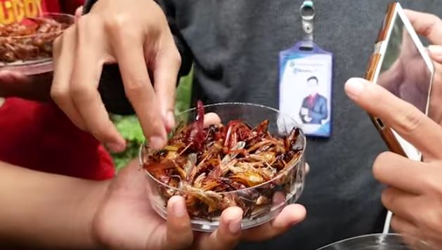 Setoples belalang goreng