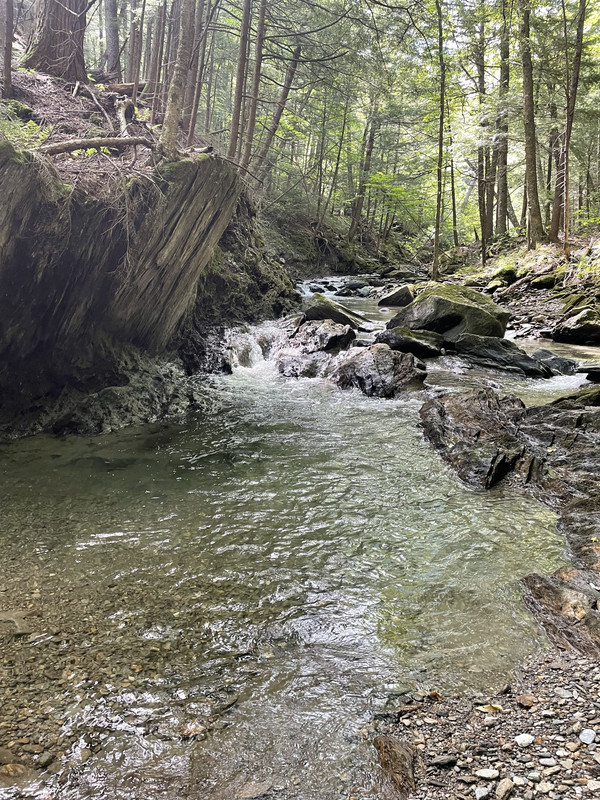 03A7E536-98F4-46CE-97F8-3D2C8A9A030E