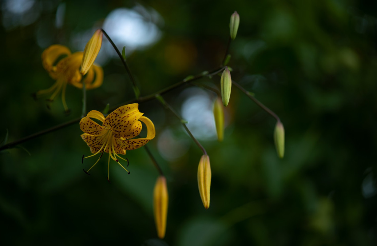 IMG-6c88735534e0c811c00489dd3d90c696-V