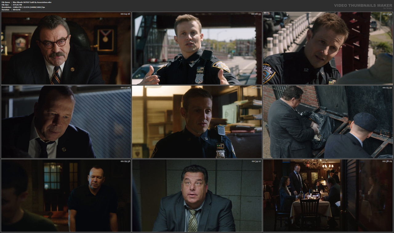 Blue Bloods S07E07 Guilt By Association.mkv