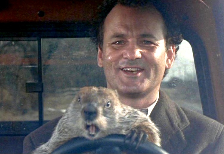 groundhog-day-bill-murray-phil-before-af