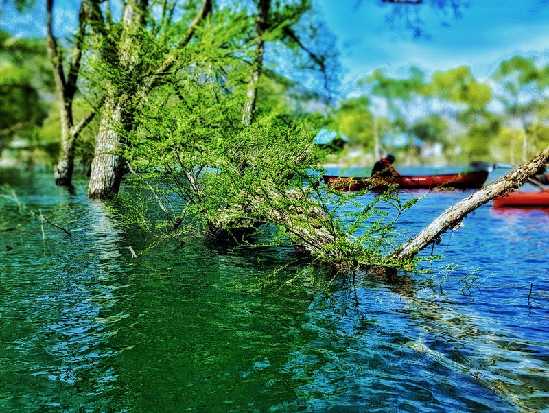 PXL-20240420-051850125-PORTRAIT-2-01