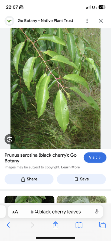 181E11E0-30FB-4C18-8347-F0D17C13452C