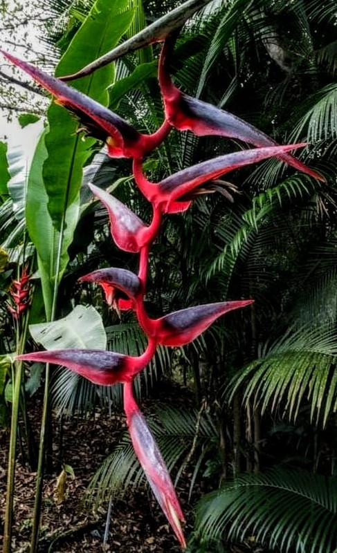 244282306_2980734882207003_1538347357099871045_n