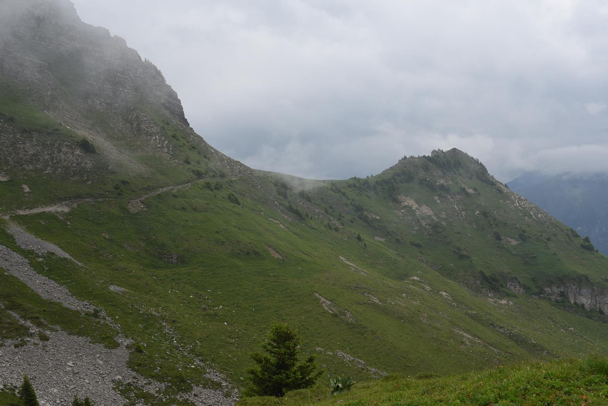 Huyendo del COVID a los Alpes (2020) - Blogs de Suiza - De casa a Grindelwald (Zona de Interlaken) (38)