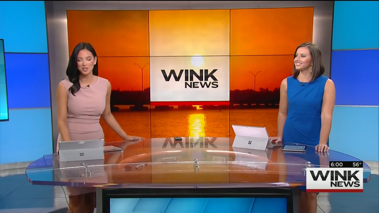 01.09 - 11.00.00 - WINK News @ 6 00am..ts_snapshot_00.06.47.238
