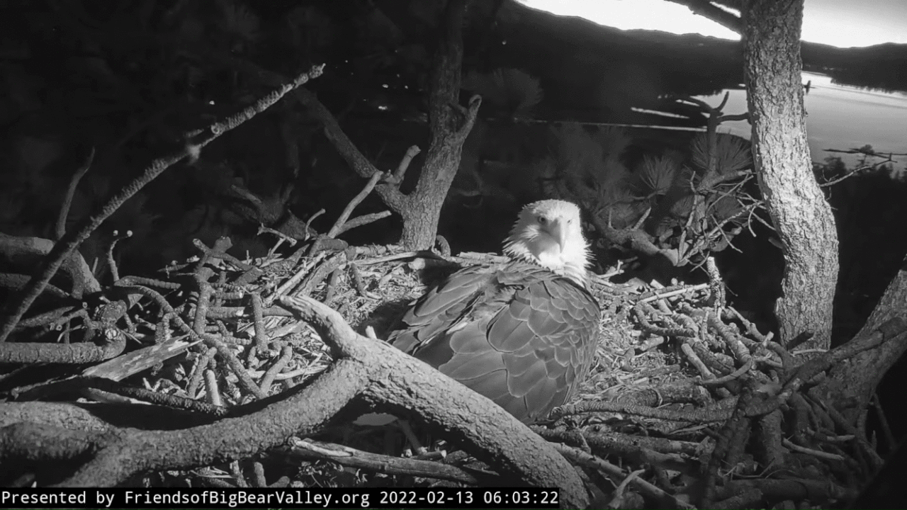 Webp.net-gifmaker (1)